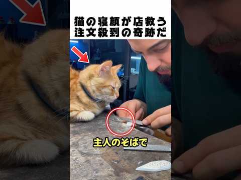 潰れかけの工房を救ったのは「猫の寝顔」だった🐱💤 1本の動画で人生逆転！世界が震えた職人技とは⚔️