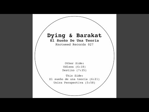 El Sueño de una Teoría