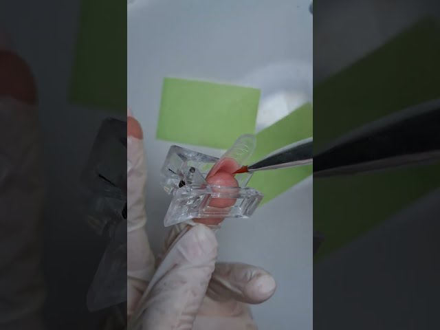 Protez Tırnak Uygulamaları