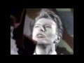 Adrian Belew feat. David Bowie- Pretty Pink Rose ...