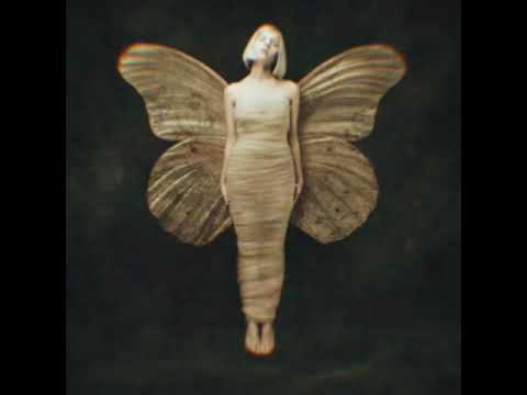 AURORA - Black Water Lilies [Instrumental]