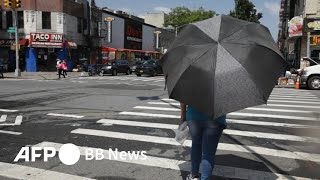 米国、今年初の猛暑日に NY都市圏の最高気温40度の予報も（2025年6月）