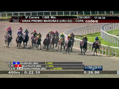 210117 c09 RAINHA PIONEIRA (BRZ) -solo carrera-