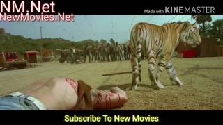 Himmatwala Ajay Devgan And Tiger Fighting With Str