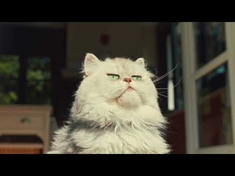 McDonald's France: Happy Doggy