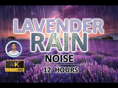 Soothing Lavender Rain Noise | 12 Hours BLACK SCREEN | Study, Sleep, Tinnitus Relief and Focus