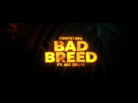 Footsteps ft Big Zeeks Bad Breed (Afro/Caro) Lyric Video