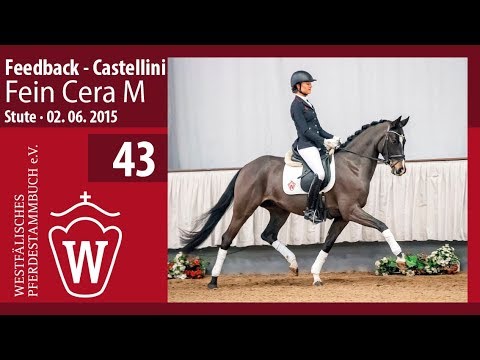 43 Fein Cera M Stute v. Feedback - Castellini