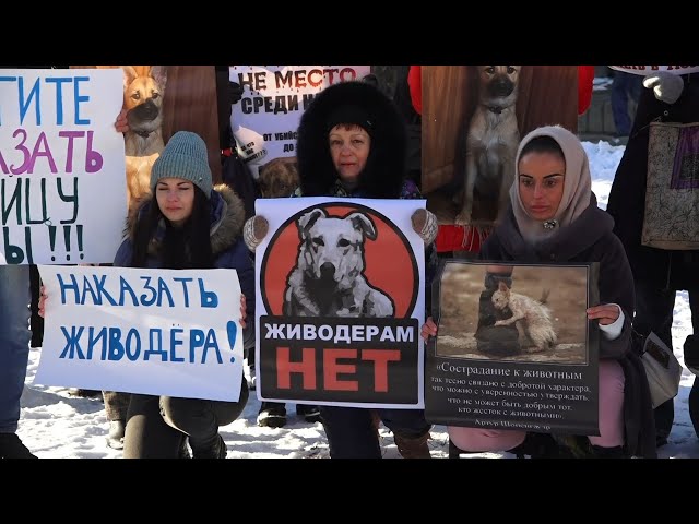 Ангарчане требуют справедливости