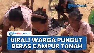 Terisolasi! Warga Terdampak Rela Pungut Beras Bantuan Campur Tanah seusai Diberikan dari Helikopter