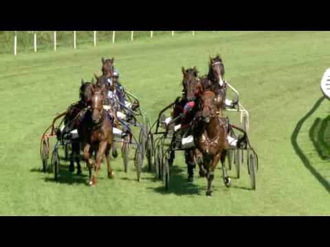 Aarau/11.09.2016/Grosser Traberpreis der stadt Aarau