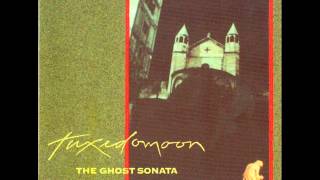 Tuxedomoon - The Funeral Of A Friend