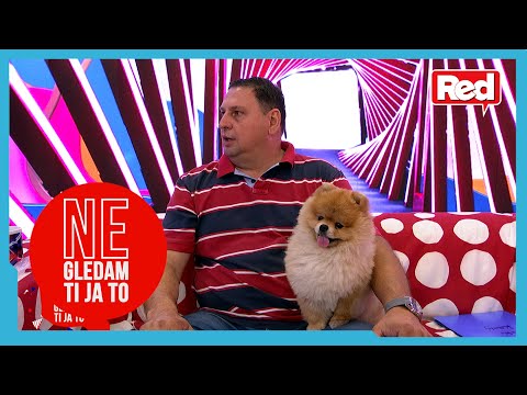 Taki o ugovoru sa devojkama - PZD u NGTJT - 26.07.2022 - Red TV