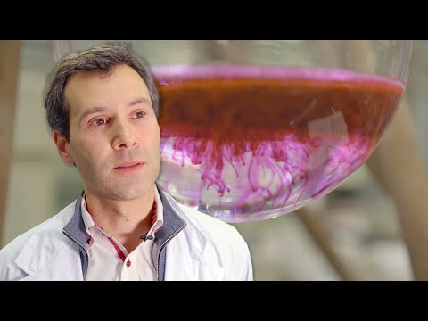 Meet Horacio Cabral — Developing lifesaving nanomedicine (Audio:EN, Subs:EN|JP|ES)