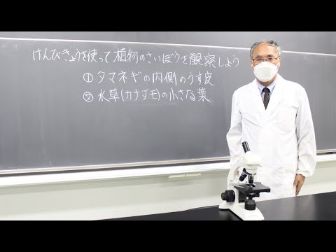 理科実験1「タマネギの細胞の観察」｜東洋大姫路中学20220731オンラインオープンスクール_理科実験紹介動画_兵庫県姫路市の中高一貫校、東洋大学附属姫路中学校