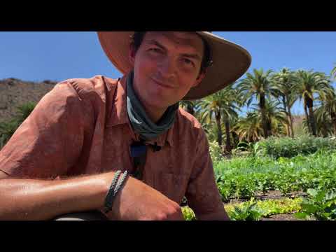 Chef in the Garden - Episode 13: Armenian Cucumbers