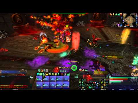 Primordius 10man Heroic VS. reason POV Mistweaver Monk