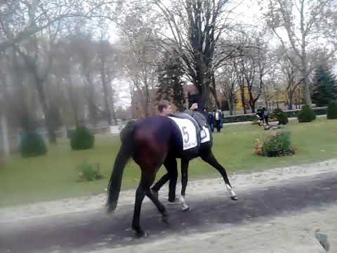 SZEMELLENZŐT KAPOTT,MERT ROBBANÊKONY.AKÁR AZ APJA/OVERDOSE/