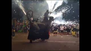 Cròniques de la Festa Major 2023. Tòtems, gegants i bèsties