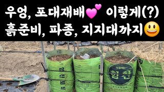 우엉, 포대재배???? 이렇게(?)????  흙준비, 파종, 지지대 준비???? 우엉에 등록된 병해충 및 농…