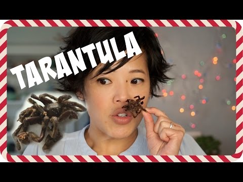 Day 3: Zebra Tarantula - 5 Days of Bug Eating