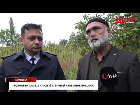 Yozgat'ta ilaçsız arıcılığın şifresi kenevirde bulundu | İleri Gazetesi