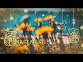 O Saathiya O Beliya Female Song Status