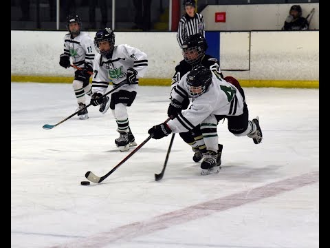 Black Stars vs SF Sabercats - Remix (12/9/2017)