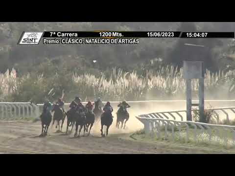 SINT COLONIA 230615 c07 - 1° LA FARAONA