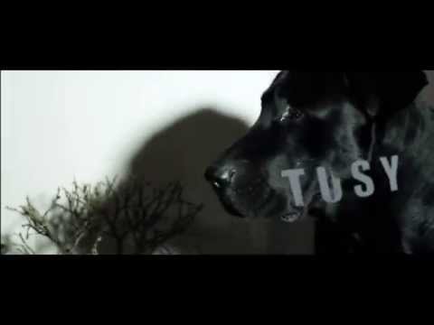 DAREWIN - RAPGAME // PROD. DOLIN // VIDEO