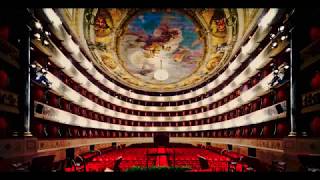 Donizetti: 33 Overtures