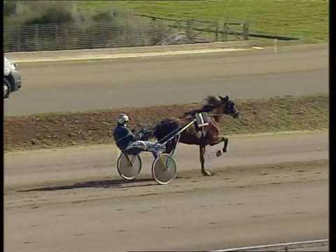 prova di qualifica 3 anni Follonica 21 ottobre 2016