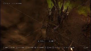 Assassin's Creed® Valhalla　バグ報告