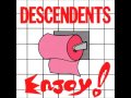 Descendents - Hurtin' crue (HQ)