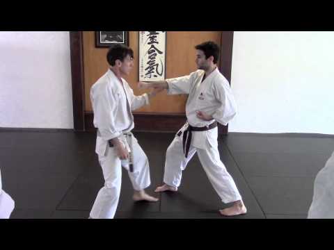 Karate Heian Yon Dan Block 03 Morote Uke