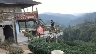 preview picture of video 'Solo​WorldTourGreenTea​ ไร่ชาลุงเดช จ.เชียงใหม่ มัทฉะ ชาเขียว​ Chiang​ Mai,  Thailand'