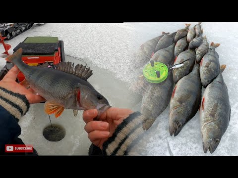 AHVEN HYVÄLLÄ PURULLA | UUSILTA PAIKOILTA LÖYTYY KALAA K2/J2