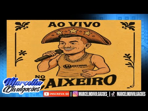 WERTINHO VILÃO - AO VIVO NO CAIXEIRO - REPERTÓRIO NOVO MAIO 2025 - 06 MÚSICAS NOVAS - BATIDÃO 2025