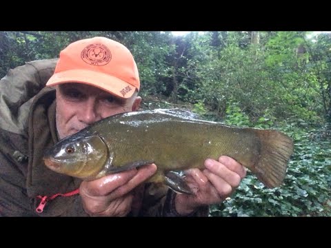 🎣 A tench session to start the day and two out of three ain’t bad