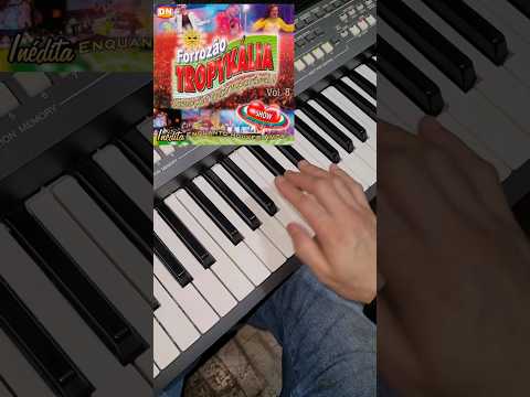 Não Da Mais - Forrozão Estouro Musical