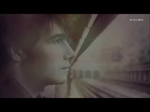 Vlada Divljan & Ljetno Kino Big Band   Samo jednu ljubav imam tekst