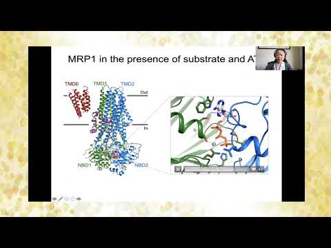 PDB50 at BPS: Jue Chen