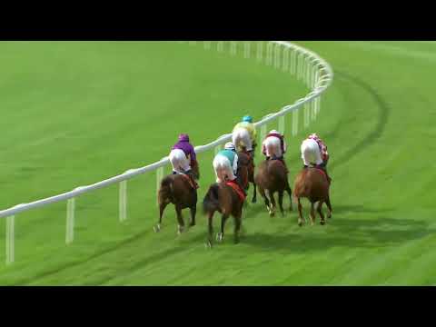 NAGRODA SAMBORA – (KAT. A) 24.09.2023 - (Dzień 35; Gonitwa 4)