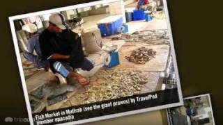 preview picture of video 'Fish Market - Muscat, Oman'