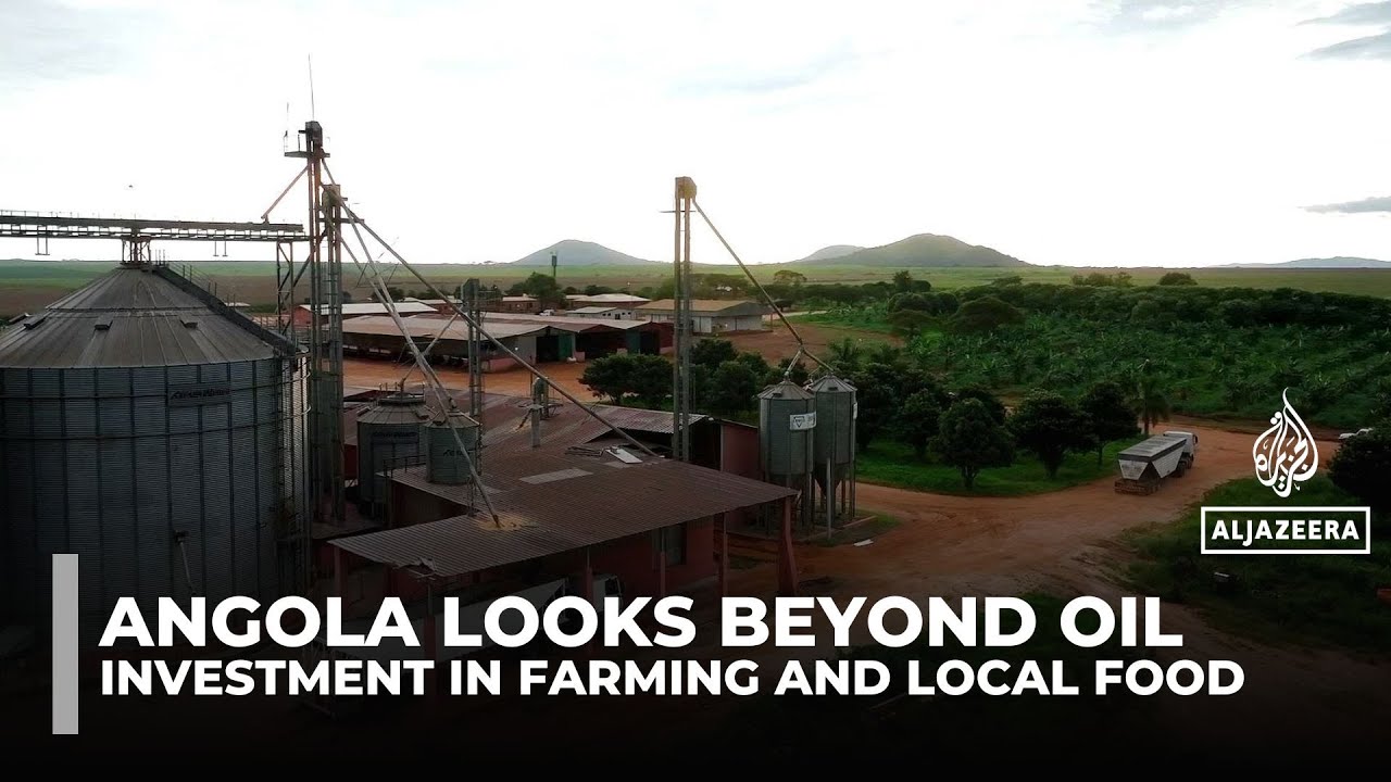 Angola bets on farming to reduce imports and reliance on oil revenues