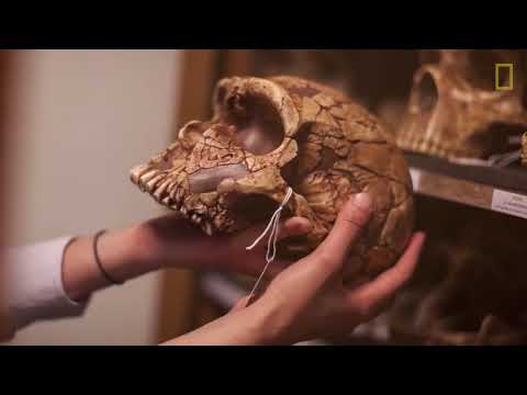 #HOMBRE DE NEARDENTAL