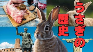 可愛いだけじゃない！うさぎの深すぎる歴史