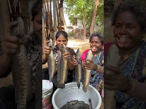 ஆத்துல 10 கிலோ மீன் புடிச்சோம் 🥰 | Village Fishing Mini VLOG | Sangeetha Vinoth | #shorts