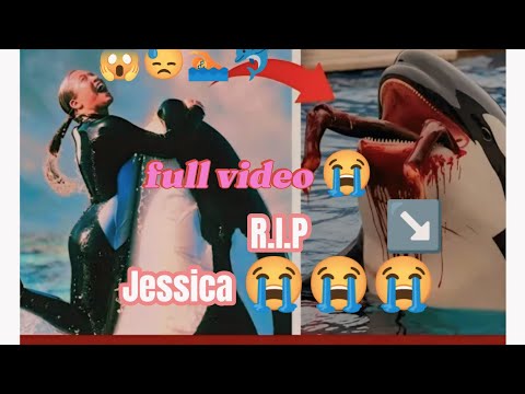 What happened to Jessica and her dolphin orca 😭 Jessica no more 😭 RIP Jessica and Orca 😭🐬