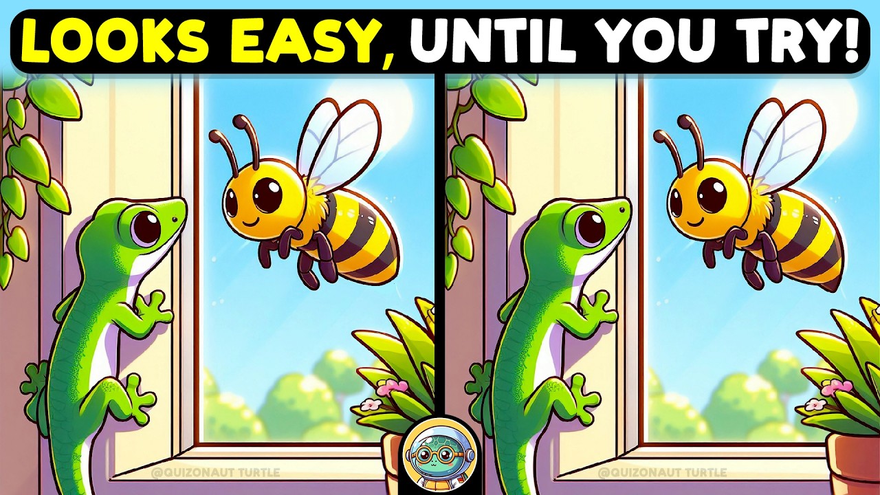 🐢🧩 Spot The Difference | Expert Challenge Edition 🧩🐢 | Quizonaut Turtle